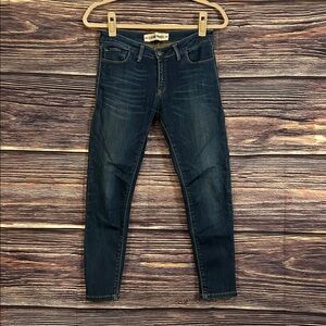 Etienne Marcel Dark Wash Skinny Jean | Low Rise Y2K Retro | Size 28